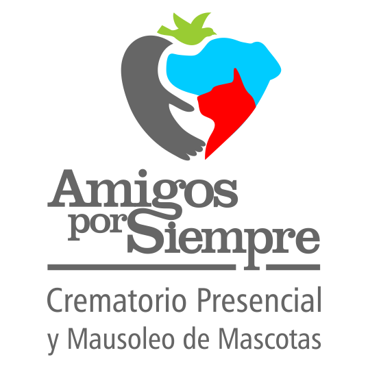 Amigos Por Siempre